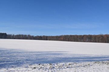 Wall Mural - weite Schneelandschaft in der Eifel