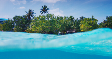 Tropical island with trees in the ocean