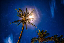 Dramatic Shot Looking Up At A Palm Tree Backlit By A Starburst Against A Starry Sky At Makena Cove; Maui, Hawaii, United States Of America