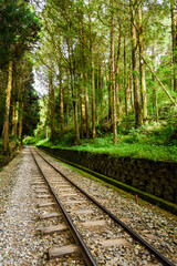 Wall Mural - The old forest railway section of Alishan Forest Recreation Area in Chiayi, Taiwan, is now obsolete and unable to operate.