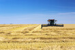 © Designpics - Swather cutting a golden barley field with blue sky; Beiseker, Alberta, Canada