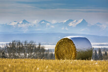 Snow-covered Hay Bale In A Stubble Field With Snow-covered Mountains And Foothills In The Background With Clouds And Blue Sky, West Of Calgary; Alberta, Canada