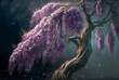 Blooming bent wisteria tree on dark background, purple flowers, nature wallpaper, spring landscape, evening scenery