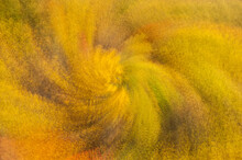 Abstract Zoom Effect Of A Swirl Of Golden, Fall Foliage In Great Smokies National Park, Tennessee North Carolina; North Carolina, United States Of America
