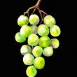 bunch of green grapes on black background