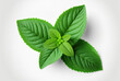 Mint leaves on a white background, isolated. clipping route in mint. photography of food. Generative AI