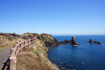 Wall Mural - beautiful seascape with walkway