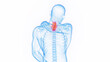 3D medical illustration of a man having neck pain