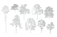 Minimal Style Cad Tree Line Drawing, Side View, Set Of Graphics Trees Elements Outline Symbol For Architecture And Landscape Design Drawing. Vector Illustration In Stroke Fill In White. 