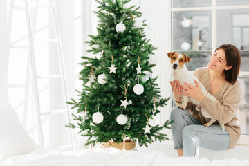 Smiling woman embraces pet with love, has happy mood, pose together near beautiful decorated Christmas tree, white walls, ladder and window around, spend time at home. Winter time, holidays.