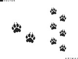 Fototapeta Tulipany - Panther paw prints silhouette. Isolated paw prints on white background