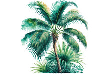 A Watercolor Hand Drawing Of A Palm Tree In Beautiful Brilliant Charming Green Tropical Amazing Great Hawaiian Floral And Herbal Summer Design. Perfect For Wrapping Paper, Textiles, Wallpapers, And Gr