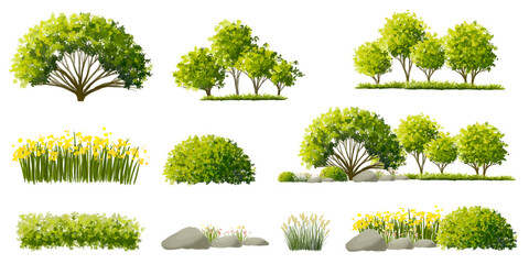 Wall Mural - vector watercolor of tree side view isolated on white background for landscape and architecture draw