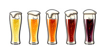 Hand Drawn Set Of Glasses Of Light And Dark Beer. Different Types Of Craft Fresh Beer. Vector Illustration.