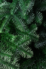  The green branches of nobilis are close. Green floral background