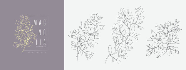 Wall Mural - magnolia flower logo and branch set. hand drawn line wedding herb, elegant leaves for invitation sav