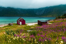 Red wooden cabin on the shore of a fjord