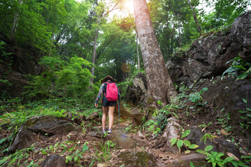 asian child or kid girl carry backpack and hiking by walking pole or people trekking and camper camping in nature forest or natural wild jungle on holiday travel by adventure at lan sang national park