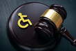 © Vitalii Vodolazskyi - Disabled person sign and gavel. Accessibility law concept.