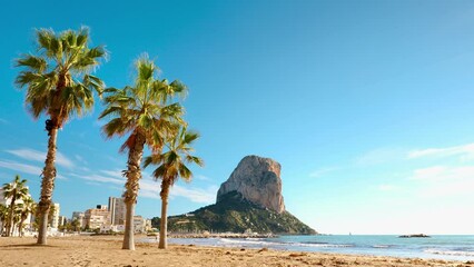 Wall Mural - Calpe, mountain, beach and palm tree- alicante province in Spain