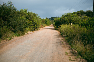 Poster - Dirt road seen running through bushveld