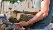 A Man Holds A Lot Of Chopped Firewood In His Hands.