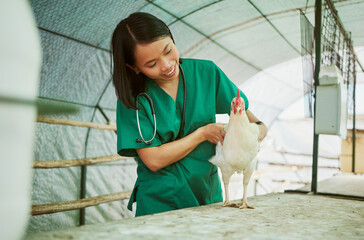 Poster - Veterinary, woman and chicken healthcare on farm for medical assessment, industry growth and analysis in hen house. Happy asian animal doctor, poultry worker and wellness check for bird flu in barn