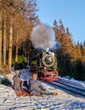 a couple of men and women watching the steam train during winter in the snow in the Harz national park Germany, 