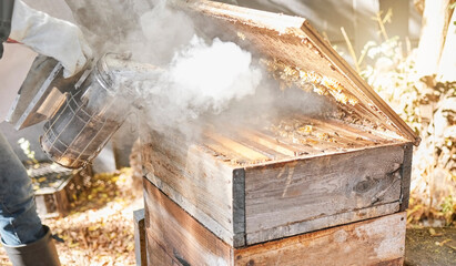 Bee farming, wood box and smoke with nature and beekeeping, honey extraction and natural product outdoor. Farmer, beekeeper and beehive, organic with manufacturing and production process with bees.