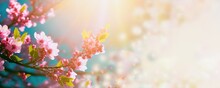 Spring Blossom Tree Pink Flowers And Abstract Background With Bokeh Sunlights, Generative Ai Cherry Blooming Banner 
