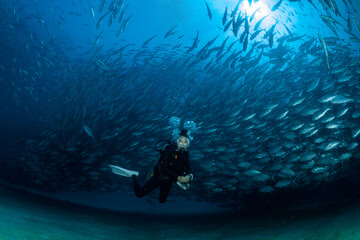 Poster - scuba diver with Cabo Pulmo jack tornado under sunny sky