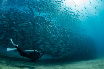 Poster - scuba diver with Cabo Pulmo jack tornado under sunny sky