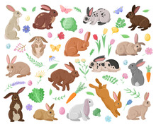 Cartoon Spring Bunnies. Cute Rabbits, Easter Eggs And Vegetables, Funny Haring Animals With Flowers And Leaves Flat Vector Illustration Set. Wildlife Eared Bunny Collection