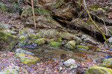 Fototapeta Desenie - Hashitachi river near The Bukozanmitake Shrine on mountain Buko