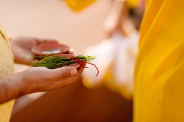 Wall Mural - haldi ritual 