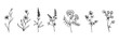 Set of sketches of various flowers, wild herbs.Vector graphics.