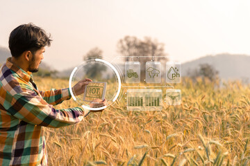 Wall Mural - Smart farming concept. Farmer with technology digital tablet on background of wheat field. Professional farmers use internet of things IOT computers system to manage farms. agriculture modern idea.