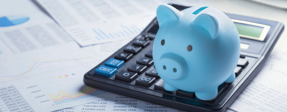 pig money box for money on background with calculator and financial charts. investment and capital a
