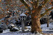 Taubenhaus im Stadtgarten im Winter