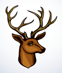 Canvas Print - Beautiful noble deer. Vector drawing