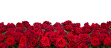 bouquet of dark  red roses  close up