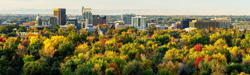 Wall Mural - Tree colors of yellow red and green in fall of Boise Idaho