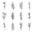 Set of Hand drawn doodle vector leaves and branches. Floral, plant elements