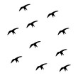 silhouettes of flying group birds