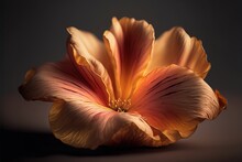  A Large Orange Flower With A Dark Background In The Background Is A Single Flower With A Yellow Center And A Red Center. Generative AI