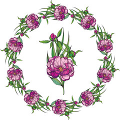 Wall Mural - Bright peony flowers. Flower arrangement. Delicate flowers. Vector flowers. Peony. 