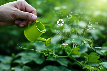 Wall Mural - pouring of watering a young plant, biology laboratory nature and science, plants with biochemistry s