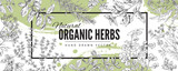 Decorative banner with hand drawn natural organic herbs sketch style