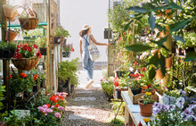 Woman, Walking Or Shopping In Small Business Florist Or Green Leaf Plants, Flowers Or Sustainability Growth. Garden Center, Nursery Or Greenhouse Customer In Spring Store Or Canada Retail Marketplace