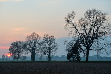 Wall Mural - Pianura Padana